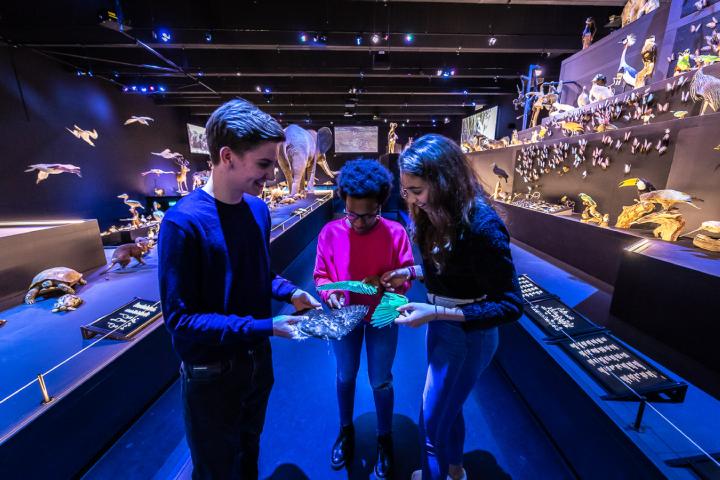 Met sprongen door de evolutie