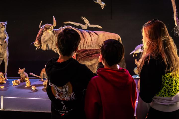 Kinderen zaal Leven programma