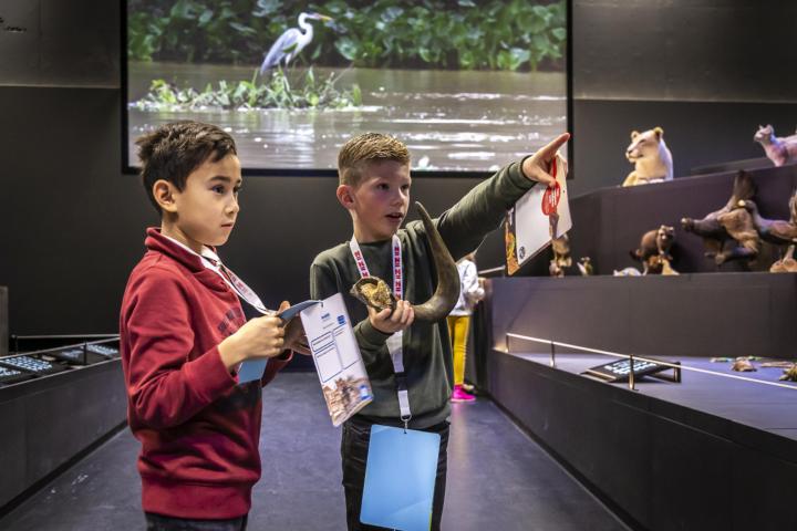 Op onderzoek in zaal leven
