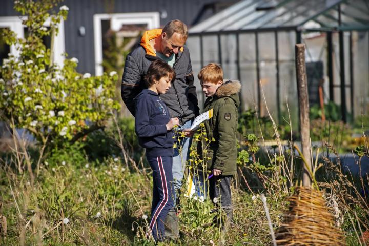 Jong en oud trekt erop uit naar buiten om bijen te tellen