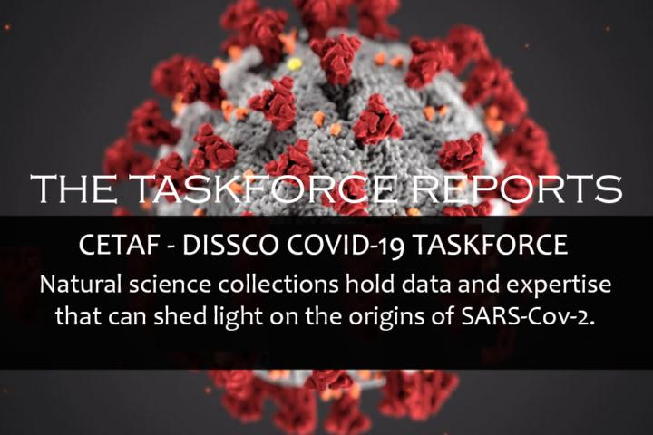 The Covid-19 Taskforce Reports