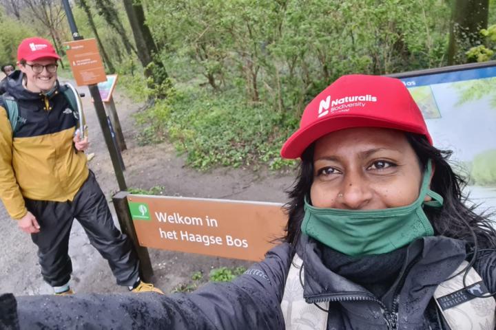 Naturalis-museummedewerkers zijn actief in natuurgebieden van Staatsbosbeheer (bron: Reshma Dijkstra)