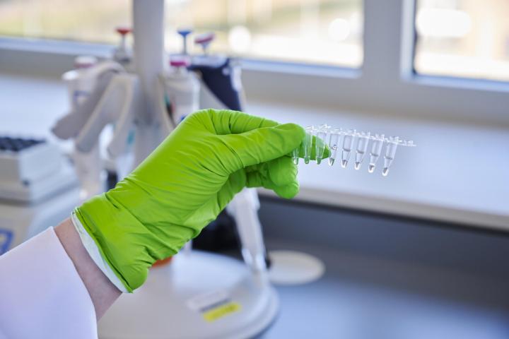 Gloved hand holding eppendorfs