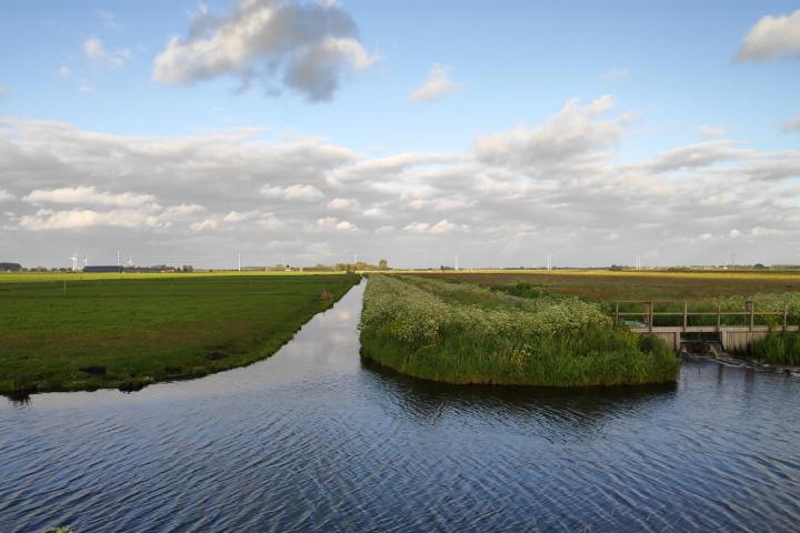 Links een soortenarm grasveld, rechts een met weidebloemen