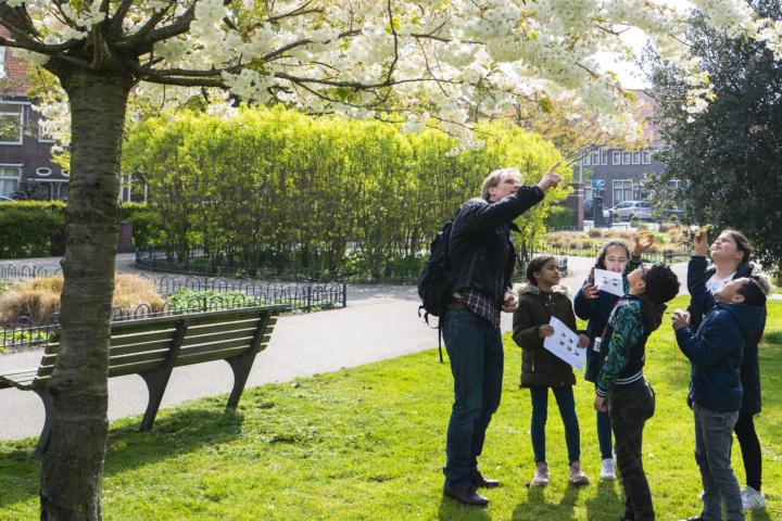 Bijen-evenement Naturalis