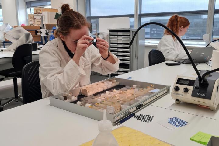 Tamar met fossielen of vloeistof 