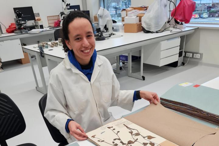 Robin werkt aan de botanie collectie