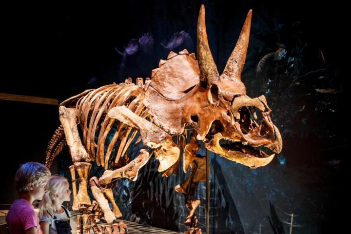 Kinderen bij Triceratops Dirk