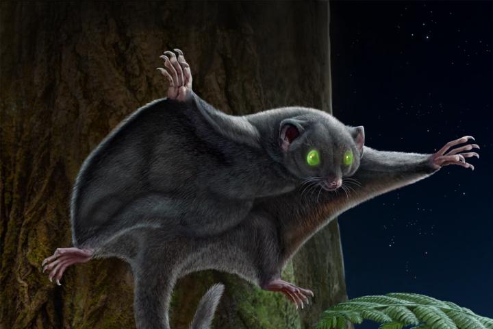 Donkere oerzoogdieren. Credit: Chuang Zhao & Ruoshuang Li. 