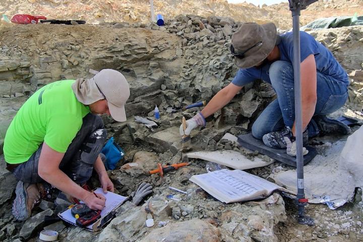 Naturalis graaft naar dinosaurussen