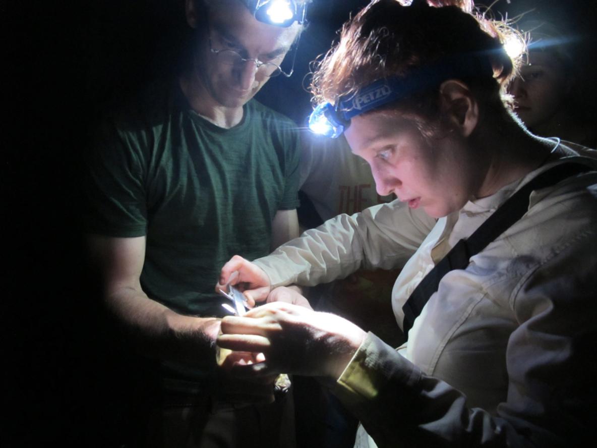 Afbeelding bij wetenschap