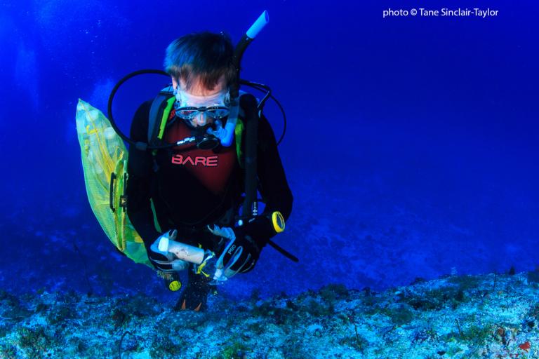 Profielfoto Ronald Vonk