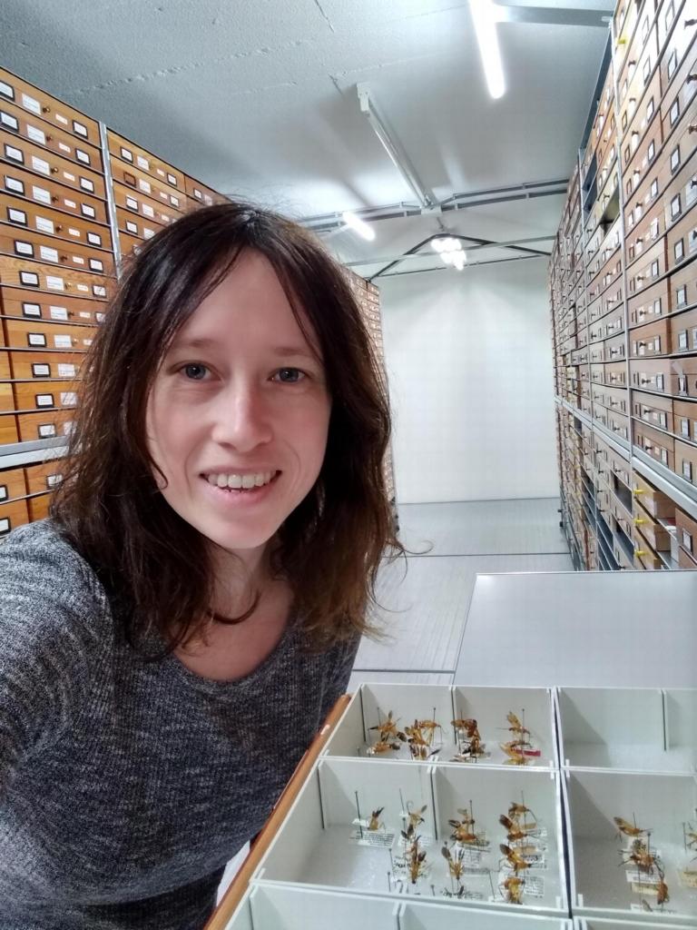 Frederique Bakker in het Hymenoptera depot