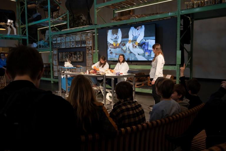 Preparatie Becky in LiveScience