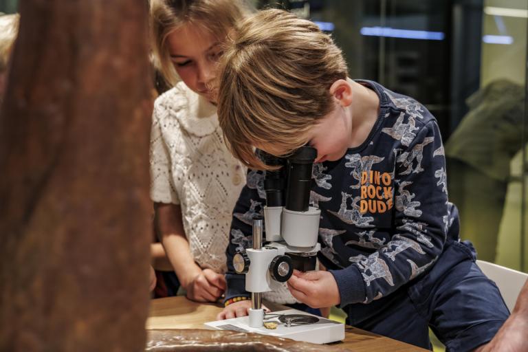 Kind ontdekt dino-fossiel