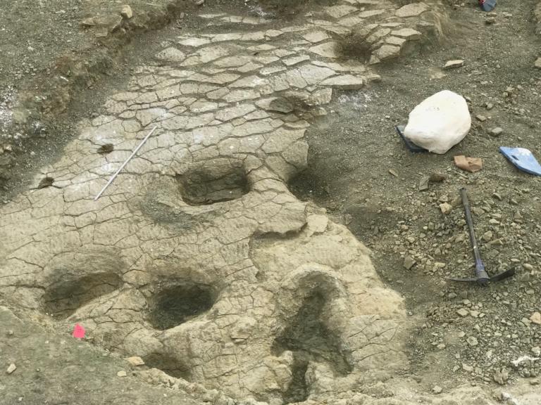 Dinosporen in de Jurassic Mile