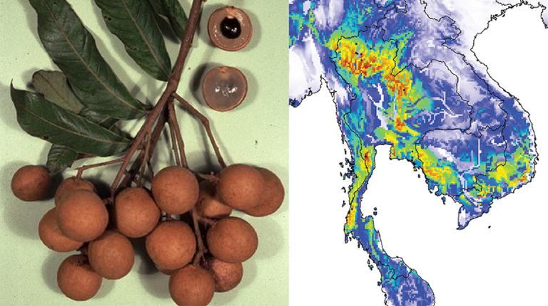 Climat change Thailand