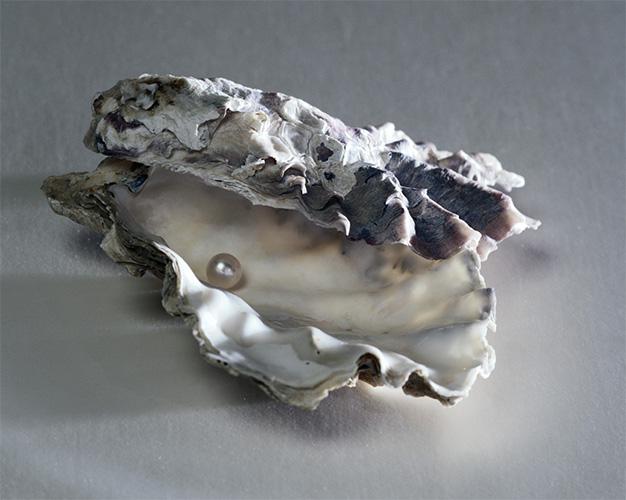 Oester met parel