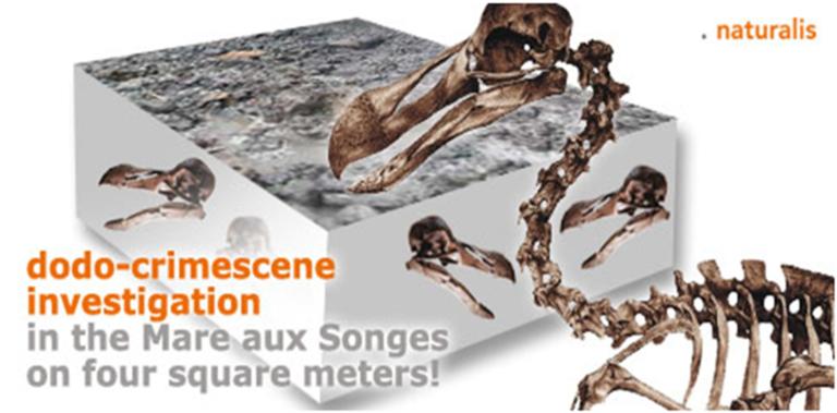 Dodo crime scene investigation