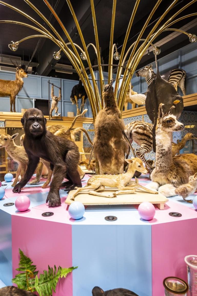 De verleiding in Naturalis