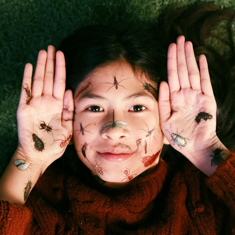 AH Naturalis TOPinsecten 