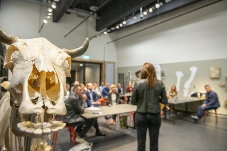 Workshop in Naturalis