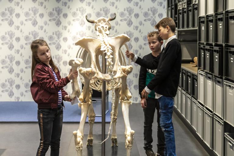 Bewijstijd bij een skelet