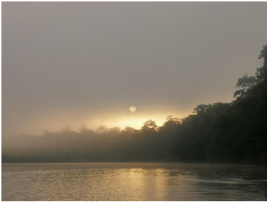 Een nieuwe dag op de Kinabatangan rivier. Foto: Thomas Komin.