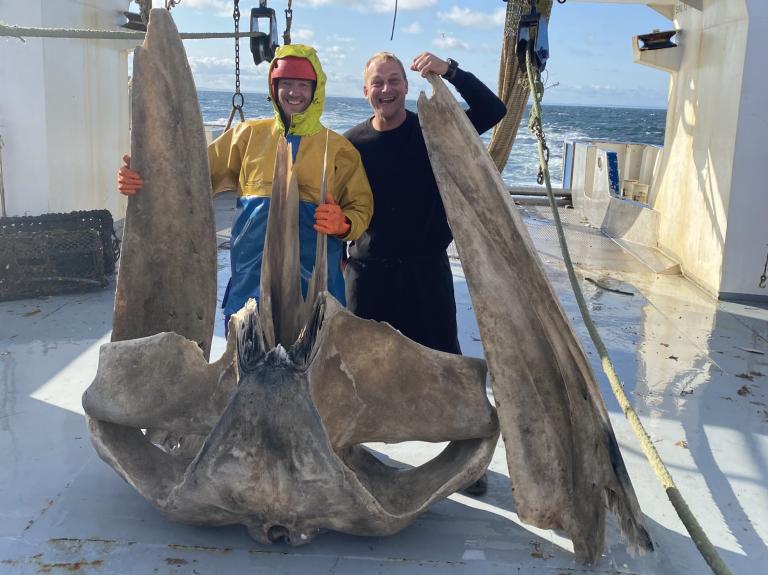 Visser Klaas van Duijn met een vers opgeviste vinvis-schedel