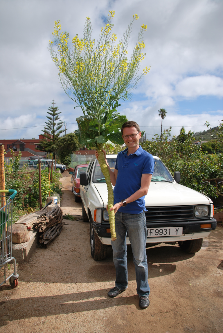 Frederic Lens on Tenerife