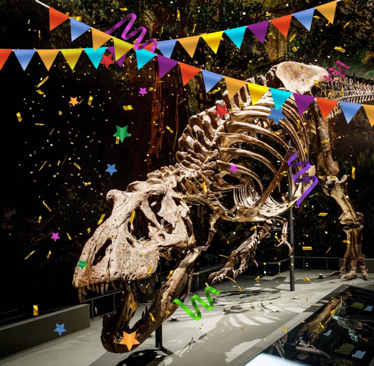 T. rex Trix met confetti