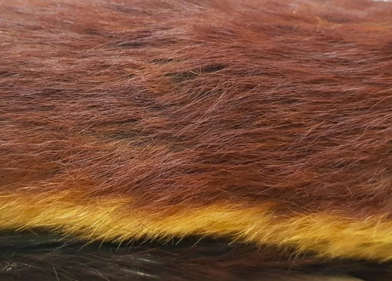 Tricolor fur