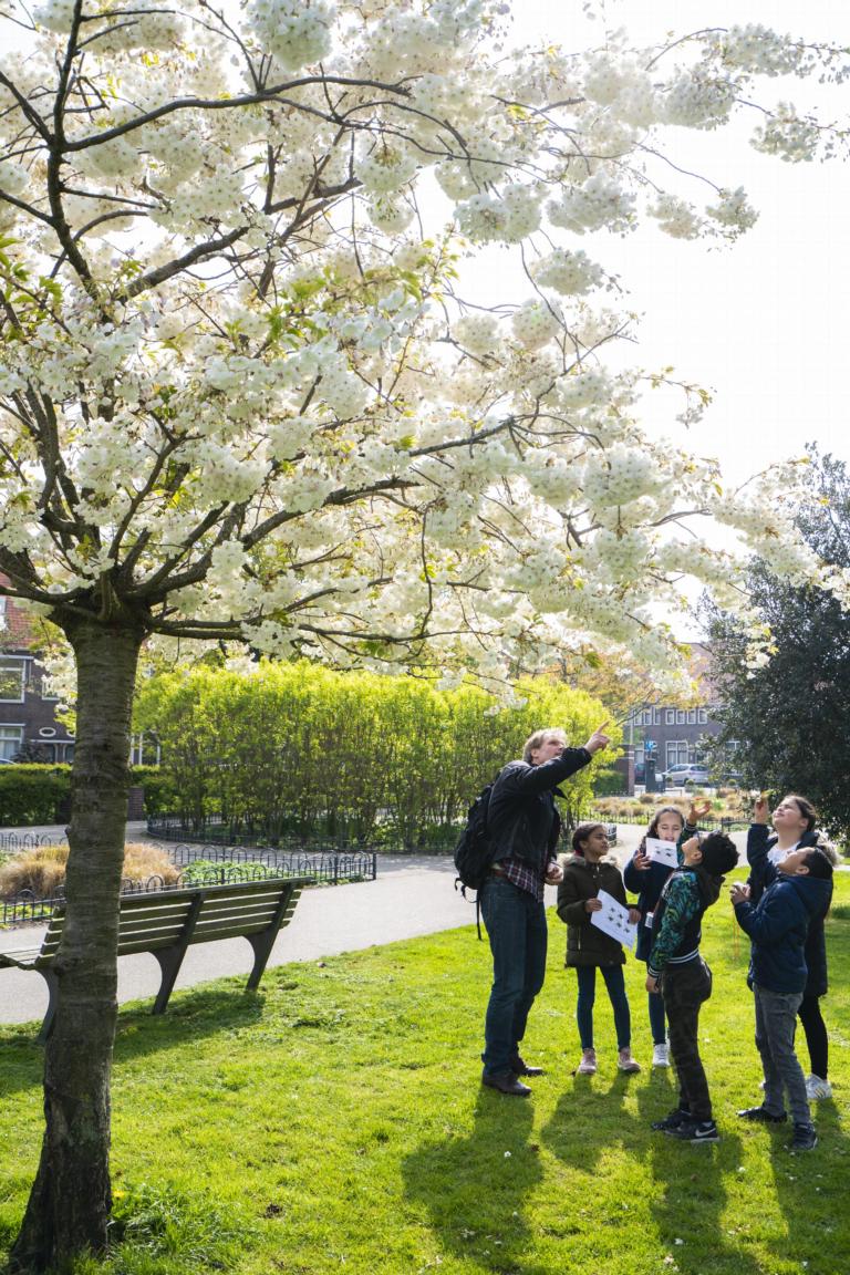 Bijen-evenement Naturalis