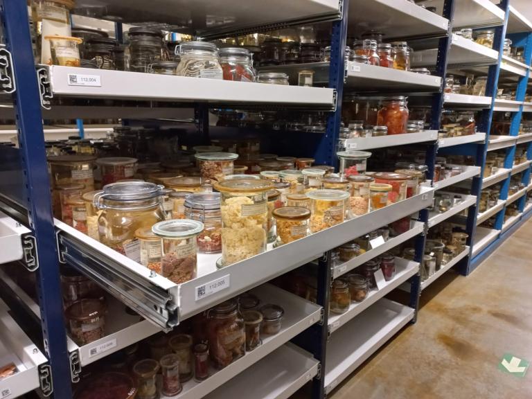 Potten vol met zacht koraal op sterk water