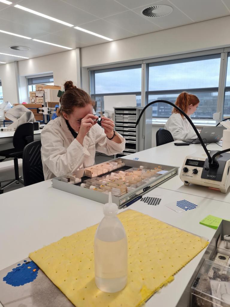 Tamar met fossielen of vloeistof 