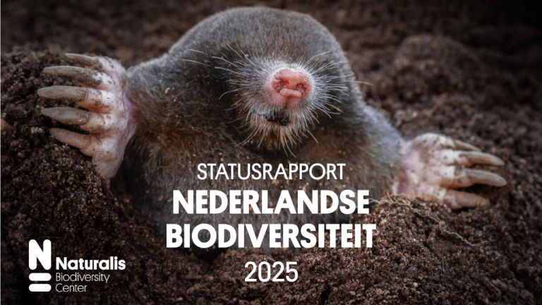 Cover van het rapport