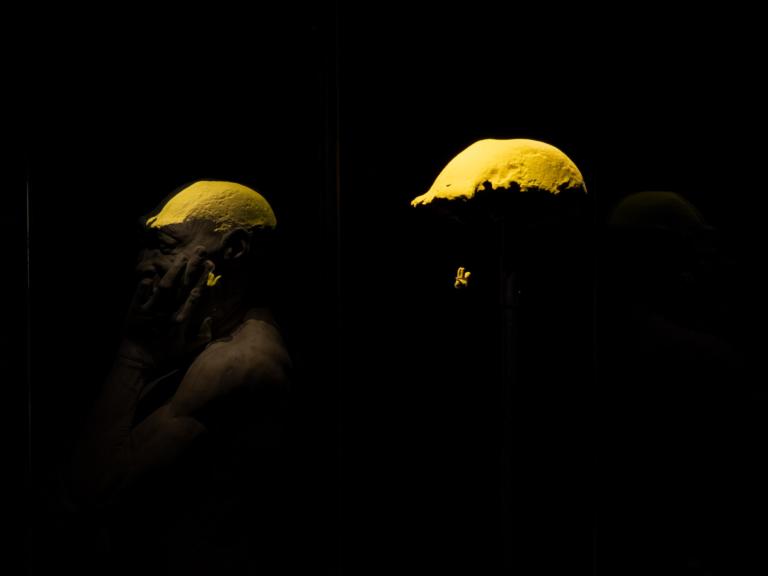 Bright plastic replicas of the fossils